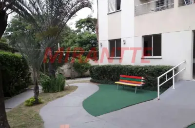 Apartamento com 2 quartos à venda na Rua Antônio Domingues Freitas, Vila Amélia, São Paulo