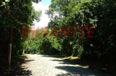 Terreno à venda na Alameda Italia, Serra da Cantareira, São Paulo