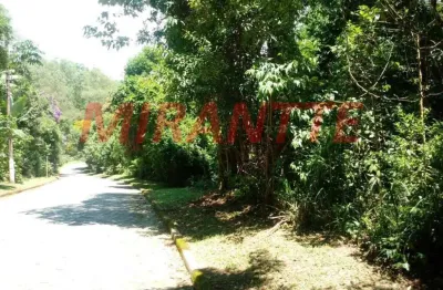 Terreno à venda na Alameda Italia, Serra da Cantareira, São Paulo