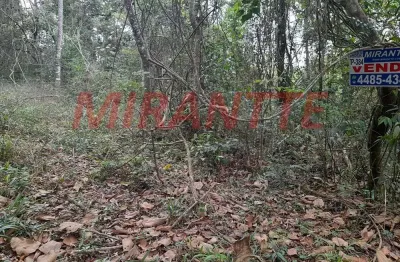 Terreno à venda na Rua Gardenias, Serra da Cantareira, São Paulo