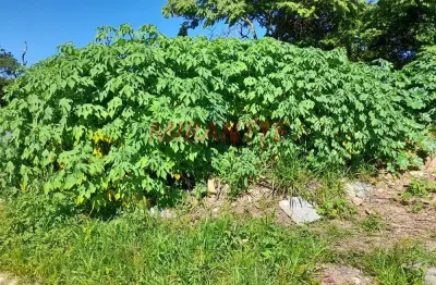 Terreno à venda na Rua Pio XII, Centro, Mairiporã