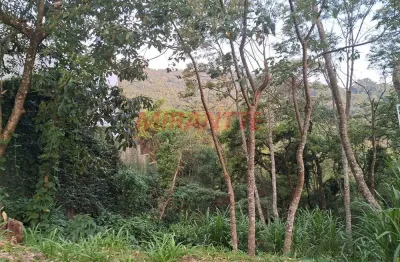 Terreno em condomínio fechado à venda na Alameda Los Angeles, Serra da Cantareira, São Paulo