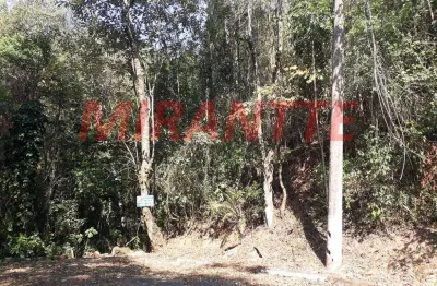 Terreno em condomínio fechado à venda na Rua Nogueira, Serra da Cantareira, São Paulo