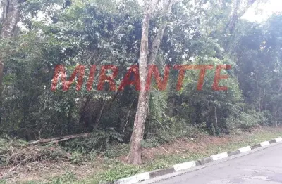 Terreno em condomínio fechado à venda na Avenida Doutor Arthur Andrade Filho, Serra da Cantareira, Mairiporã