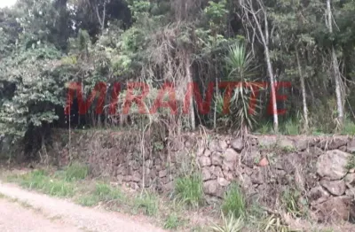 Terreno em condomínio fechado à venda na Alameda do Jacarandá, Serra da Cantareira, Mairiporã
