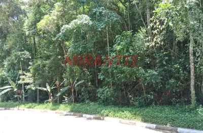 Terreno em condomínio fechado à venda na Alameda Parque Valinhos, Serra da Cantareira, Mairiporã