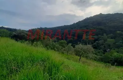 Terreno em condomínio fechado à venda na Alameda dos Jerivás, Serra da Cantareira, Mairiporã