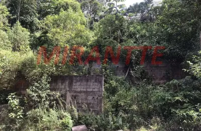Terreno em condomínio fechado à venda na Alameda Peru, Serra da Cantareira, São Paulo