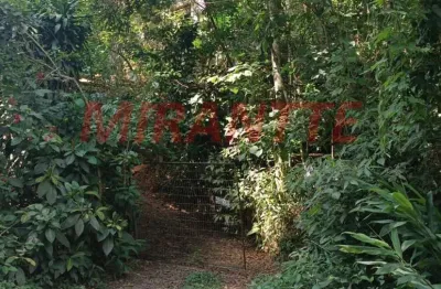 Terreno à venda na Estrada do Valinho, Luiz Fagundes, Mairiporã
