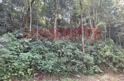 Terreno em condomínio fechado à venda na Alameda Dos Canários, Caraguatá, Mairiporã