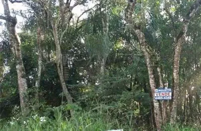 Terreno em condomínio fechado à venda na Rua Ilhéus, Serra da Cantareira, Mairiporã