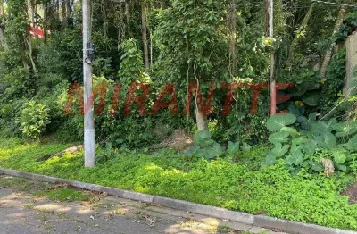 Terreno à venda na Rua Das Palmeiras, Caraguatá, Mairiporã