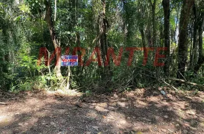 Terreno à venda na Rua Dos Flamboyans, Caraguatá, Mairiporã