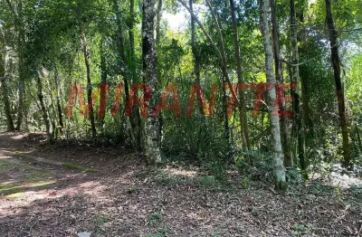 Terreno à venda na Rua Joa, Caraguatá, Mairiporã