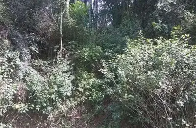 Terreno em condomínio fechado à venda na Brasil X Colombia, Serra da Cantareira, São Paulo
