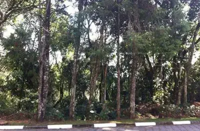 Terreno em condomínio fechado à venda na Rua Dom Pedro Ii, Serra da Cantareira, São Paulo