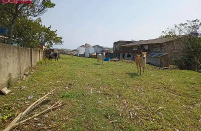Terreno em condomínio fechado à venda na Est Anarolina S Santos, 10, Vargem do Bom Jesus, Florianópolis