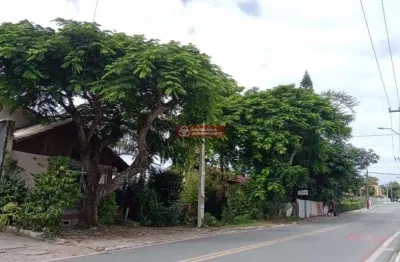 Terreno comercial à venda na Est Ver Onildo Lemos, 1107, Ingleses do Rio Vermelho, Florianópolis