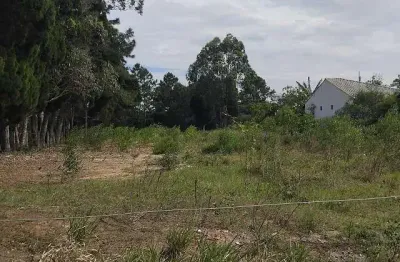 Terreno à venda no São João do Rio Vermelho, Florianópolis 