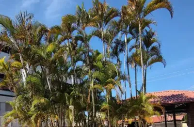 Casa / sobrado em condomínio - ingleses - florianópolis - 4 quartos