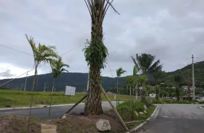 Terreno / Lote - Vargem do Bom Jesus - Florianópolis - 0 quartos