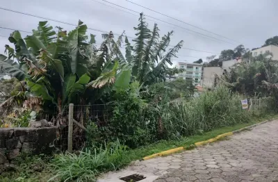 Terreno à venda na Rua José Félix Vieira, 1, Pantanal, Florianópolis
