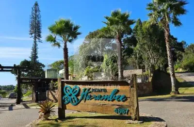 Terreno em condomínio fechado à venda na Rua Intendente Antônio Damasco, 4687, Ratones, Florianópolis