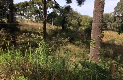 Terreno à venda na travessão vitor emanuel, brandalise, caxias do sul por r$ 2.000.000