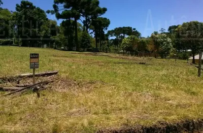 Terreno à venda na rua travessão vítor emanuel, nossa senhora da saúde, caxias do sul por r$ 1.100.000
