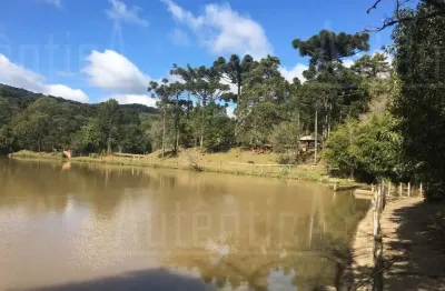 Chácara / sítio à venda na Estrada Pará, São Gotardo (Distrito), Flores da Cunha