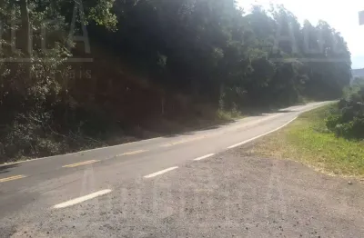 Terreno à venda na rodovia rsc-453, s/n, nossa senhora da saúde, caxias do sul por r$ 2.500.000