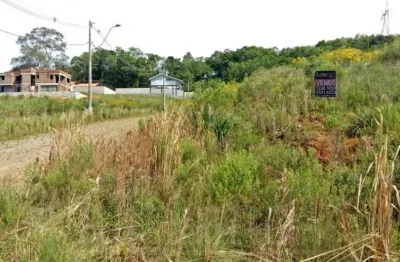 Terreno à venda na estr. mun. avelina tomazoni pícoli, monte bérico, caxias do sul por r$ 195.000