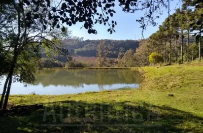 Chácara / sítio à venda na estrada do vinho, loreto, caxias do sul por r$ 430.000