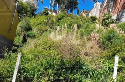 Terreno à venda na Rua Luiz de Almeida, São Caetano, Caxias do Sul