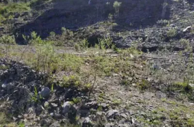 Terreno à venda na rua joão eli silveira, nossa senhora das graças, caxias do sul por r$ 350.000