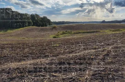 15,30 ha na linha palmeiro, farroupilha - frente para rod vicinal mato perso a 2 km da ers 122
