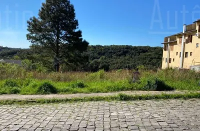 Terreno à venda na rua josé constant lazzari, s/n, cidade industrial, caxias do sul por r$ 145.000