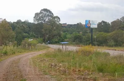 Chácara / sítio com 4 quartos à venda na ÀS Margens Da Rota Do Sol, 00, Vila Seca, Caxias do Sul