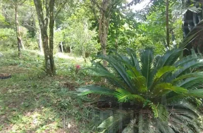 Chácara / sítio à venda na travessão sebostopol distrito de galópolis, zona rural, caxias do sul por r$ 495.000