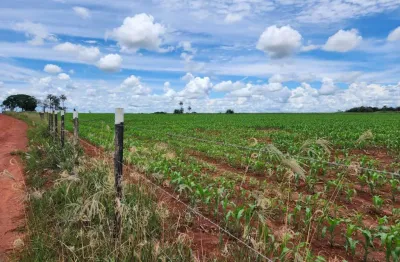 Chácara / sítio à venda na Área Rural, Área Rural de Artur Nogueira, Artur Nogueira