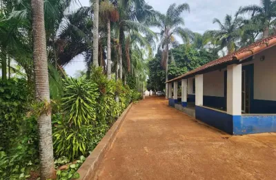 Sítio de 60.000 m² com represa em artur nogueira - sp