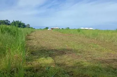 Chácara / sítio à venda na Área Rural, Área Rural de Cosmópolis, Cosmópolis