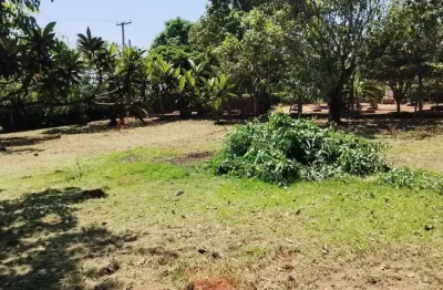 Chácara / sítio à venda na Área Rural, Área Rural de Artur Nogueira, Artur Nogueira