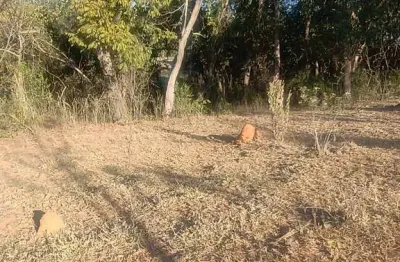 Chácara / sítio à venda na Área Rural, Área Rural de Artur Nogueira, Artur Nogueira