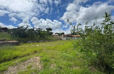 Chácara / sítio à venda na Área Rural, Área Rural de Artur Nogueira, Artur Nogueira