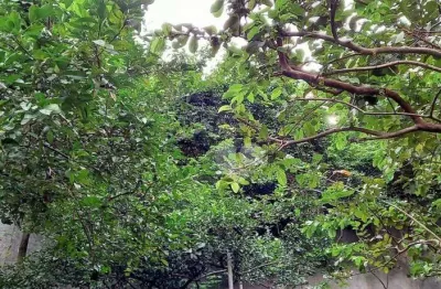 Casa com 5 dormitórios à venda, 363 m² por r$ 1.850.000,00 - grajaú - rio de janeiro/rj