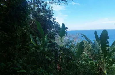 Terreno à venda, 6000 m² por r$ 3.500.000,00 - são conrado - rio de janeiro/rj
