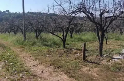 Chácara / sítio com 3 quartos à venda na área rural de itatiba, itatiba , 60000 m2 por r$ 1.500.000
