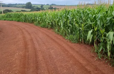Chácara / sítio à venda na São Vicente, São Vicente, Araruna