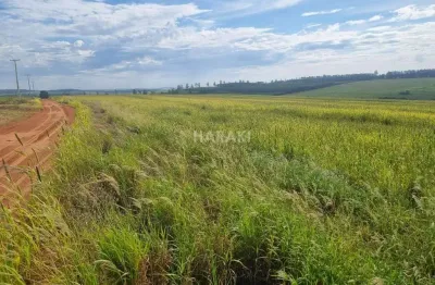 Chácara / sítio à venda na ÁRea Rural, Zona Rural, Terra Boa